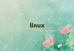 ݸLinuxƼܹʦѵʮ