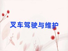 ǲ泵֤ѵ