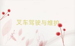 ݳǹ泵