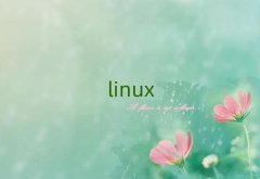 ɽרҵѧLinuxѧУ