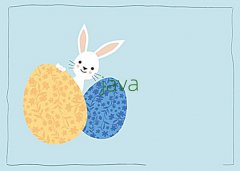 ʾѧJavaʦʲô