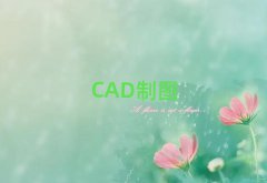 ³ѧCADĸǰʮ