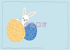 ͨ紨ѧݽڲĸѵǰʮ