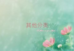 麣ѧռЧʲôѧУ