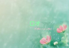 ݹݽڲѵ