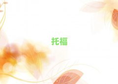 2025toeflѵȽϺ