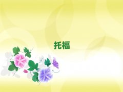 Ϸѧϰtoefl