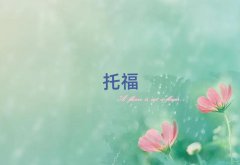 ӱѵtoefl,ʯׯѵtoefl