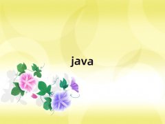 2018ɶJavaѵǶ