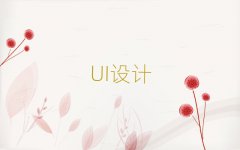 UIưҵѵ10