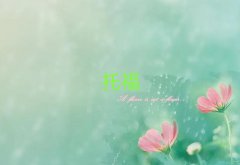 ݸѧtoefl