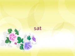 satѵ,˲satѵ