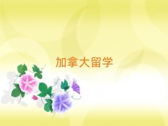 人ôѧнǰʮ