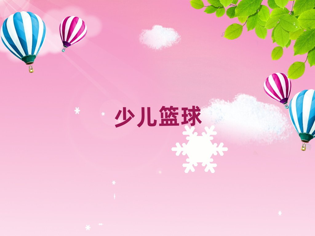 ˫
