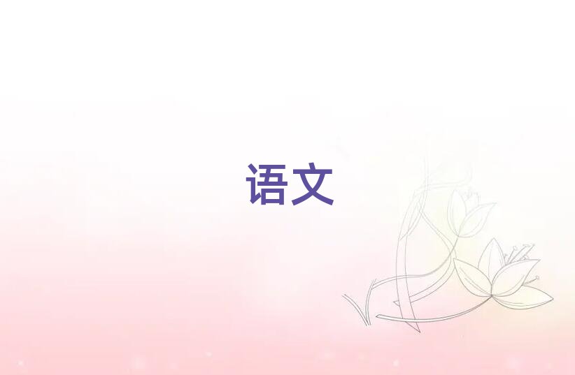 2019ƸԸСѧѵַ