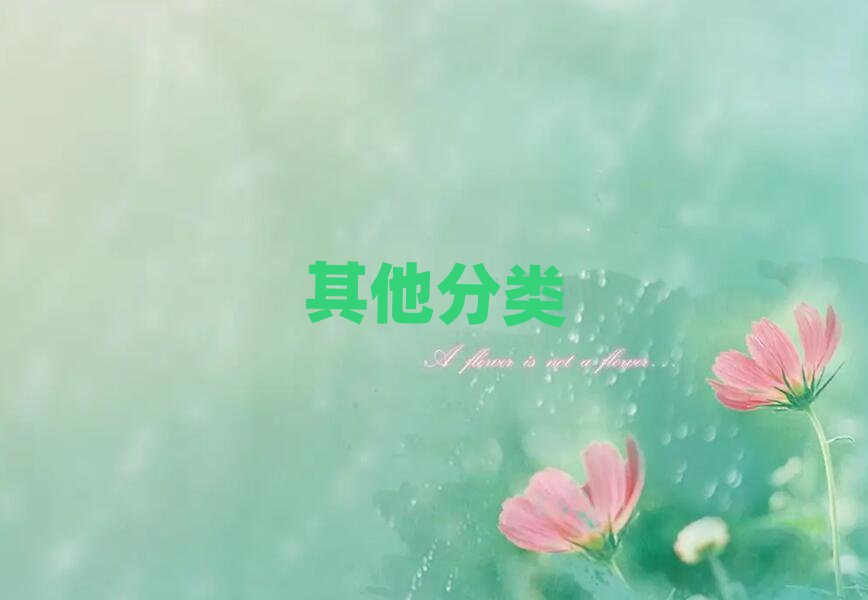 2019֣ѧnoip