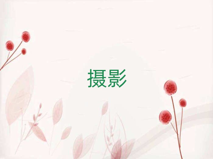 2019Ӱѵ