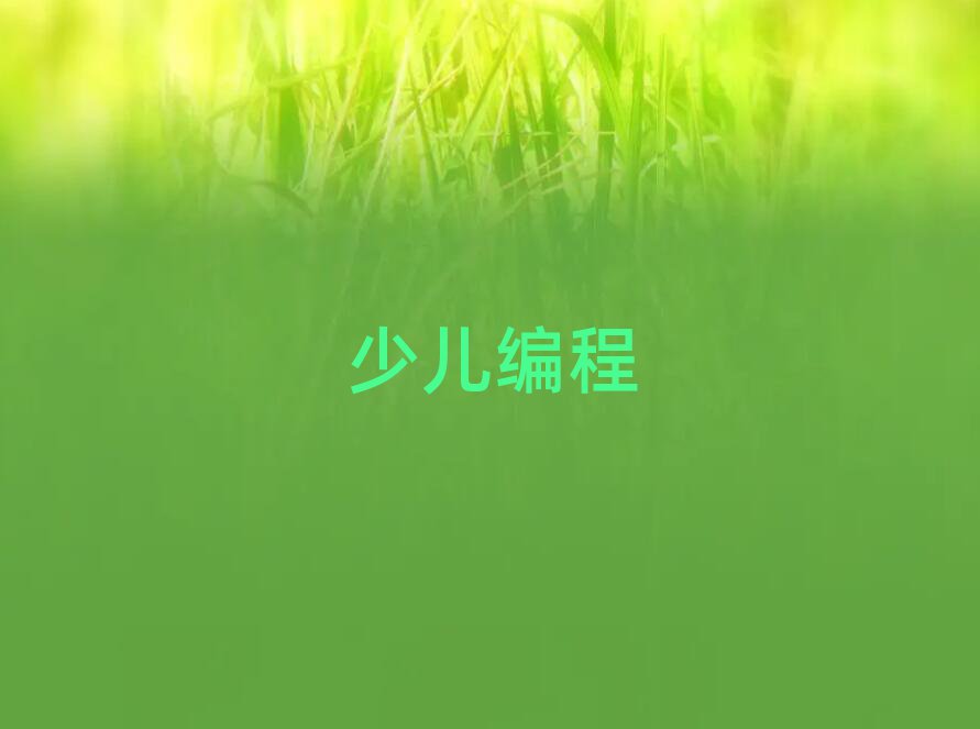 ƽָרҵѵѧУ