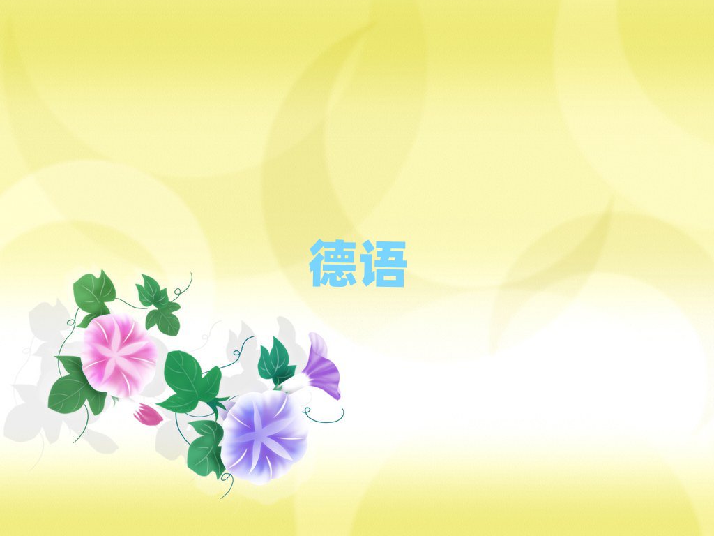2019ѧٶ