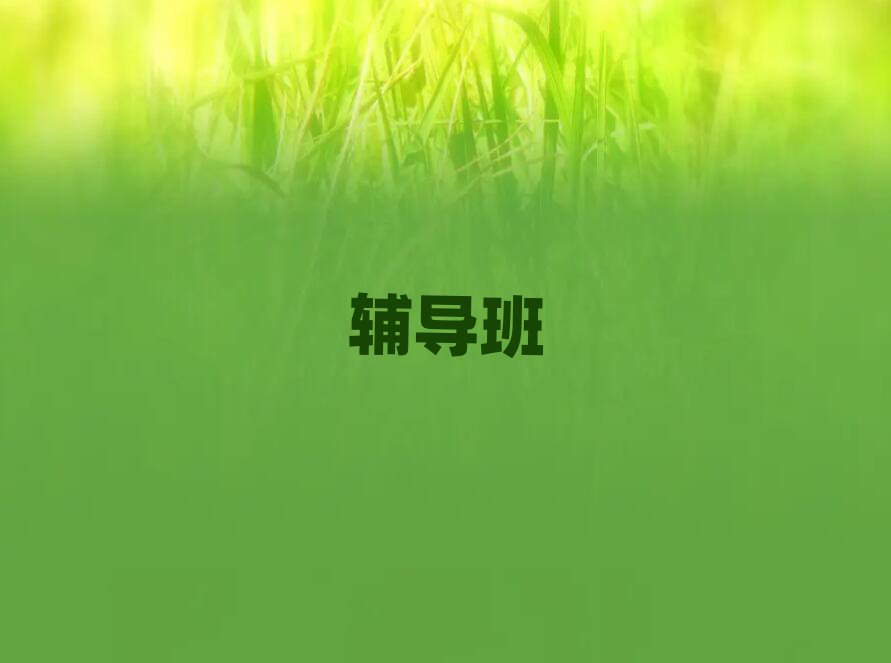 2019߿̲ϰ