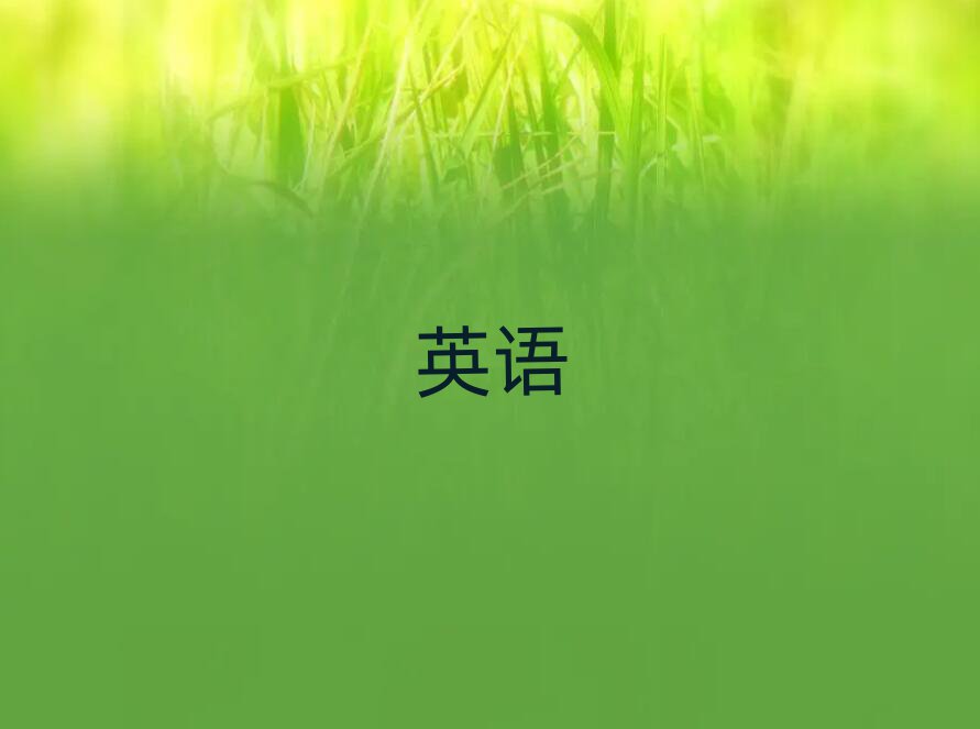 2019ݻѧʵӢ