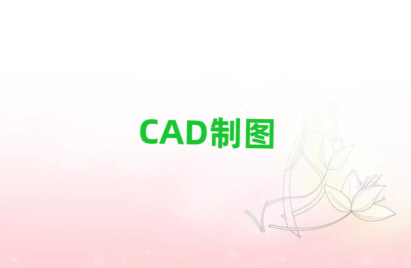 2019ݵѧУ