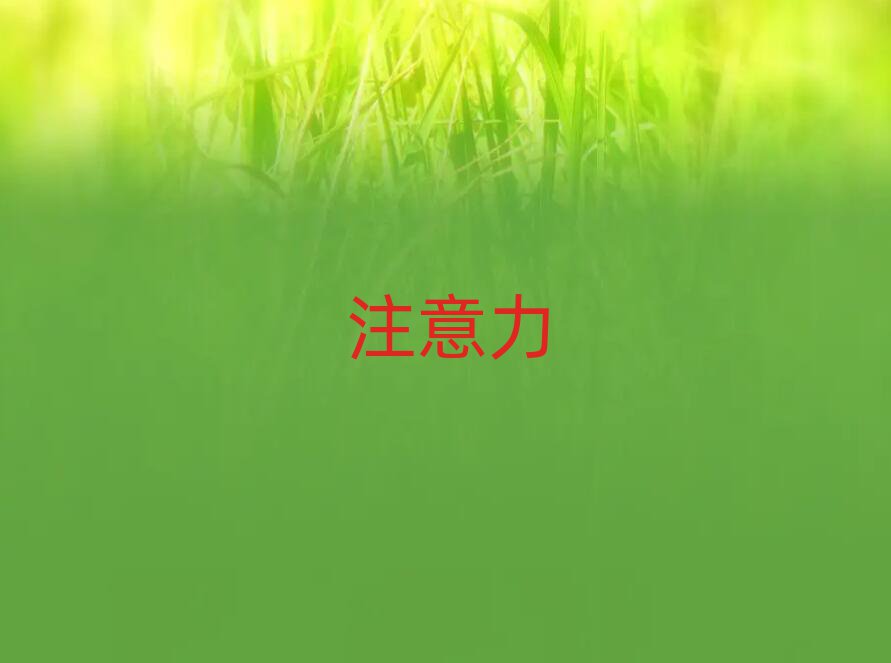 2019ѧԺעѵѵɽ˳
