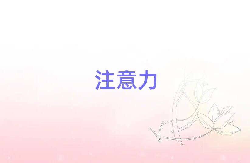 2019ٶද֢ѵ