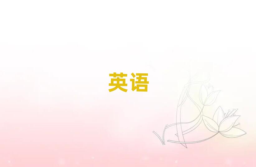 2019ݻʵӢѵ