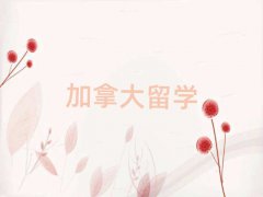 ôѧѧ