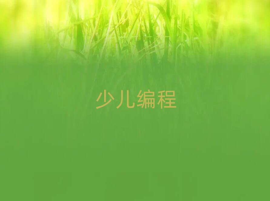 2020곤ɳСѧѵʼ