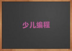2024ʯׯѧޱ