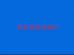 2025ݻȥѧʵӢ