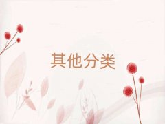 2025̨ѧСѧѵѧУǰ10