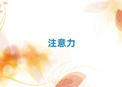 2025곤ɳٶද֢ʸѵ