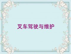 ֣ݻʵѵ