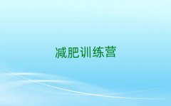 2025ʷռѵӪ