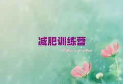 ѵӪ