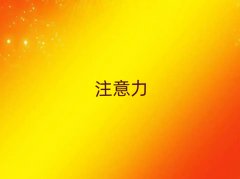 2025꺼ϳûлѧͯעѵ