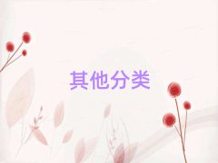 ļСѧӢﲹϰ