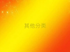 2024˲С