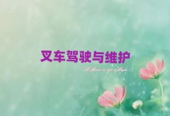 ĳƽûлѧھ