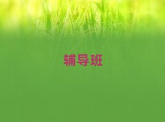 2025ݸĩϰ