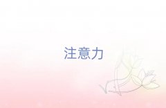 ̨㿪ʼѧٶעѵ