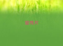 ϽǰʮҵƬǮ