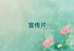 ʮҵƬ㹫˾