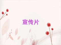 פƽǰʮҵƬ㱨