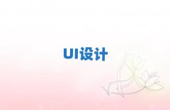 人9.9ԪѧUI