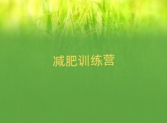 2024ʮĵķռѵӪ