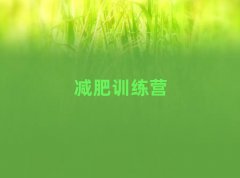 2025ɽѵӪ